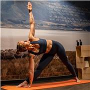 coach sportif, professeur de yoga je suis là pour apporter toutes les clés pour vous amenez à vos objectifs !